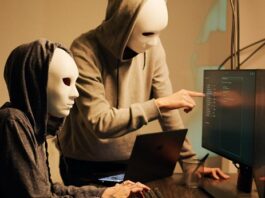 Cyber crime perpetrators